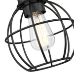 Revtronic 1-Light Ceiling Light Fixture, Matte Black